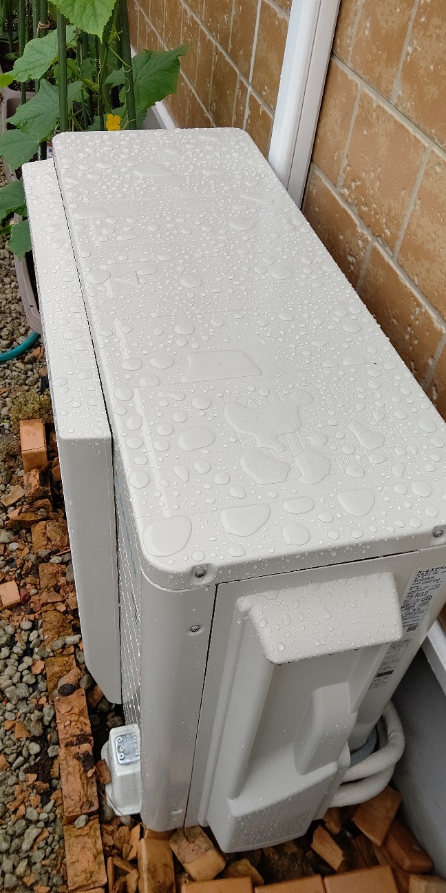 f:id:ikukyuchu:20200710112126j:image