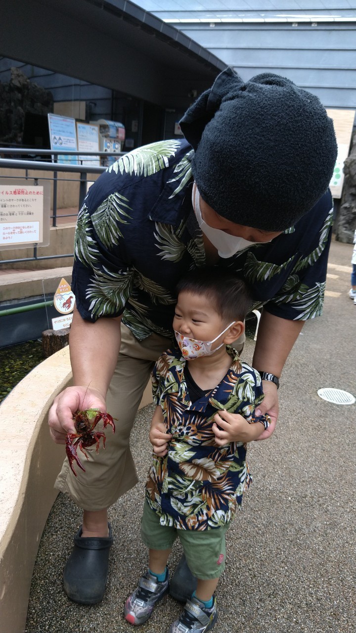 f:id:ikukyuchu:20200731102826j:image