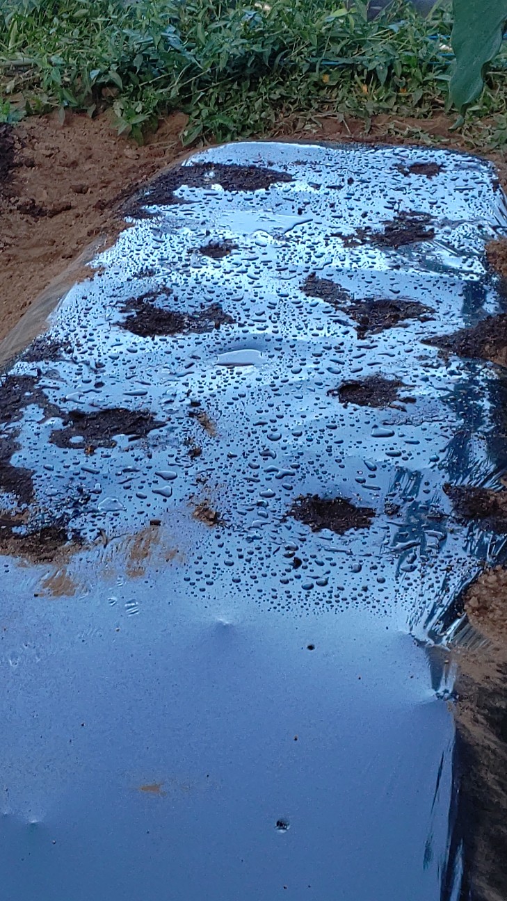 f:id:ikukyuchu:20200831102759j:image f:id:ikukyuchu:20200831102759j:image