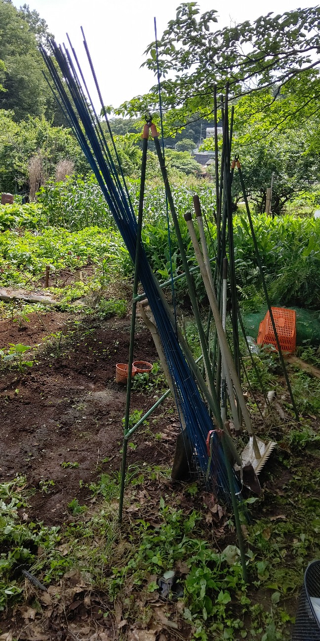 f:id:ikukyuchu:20210618164210j:image f:id:ikukyuchu:20210618164210j:image