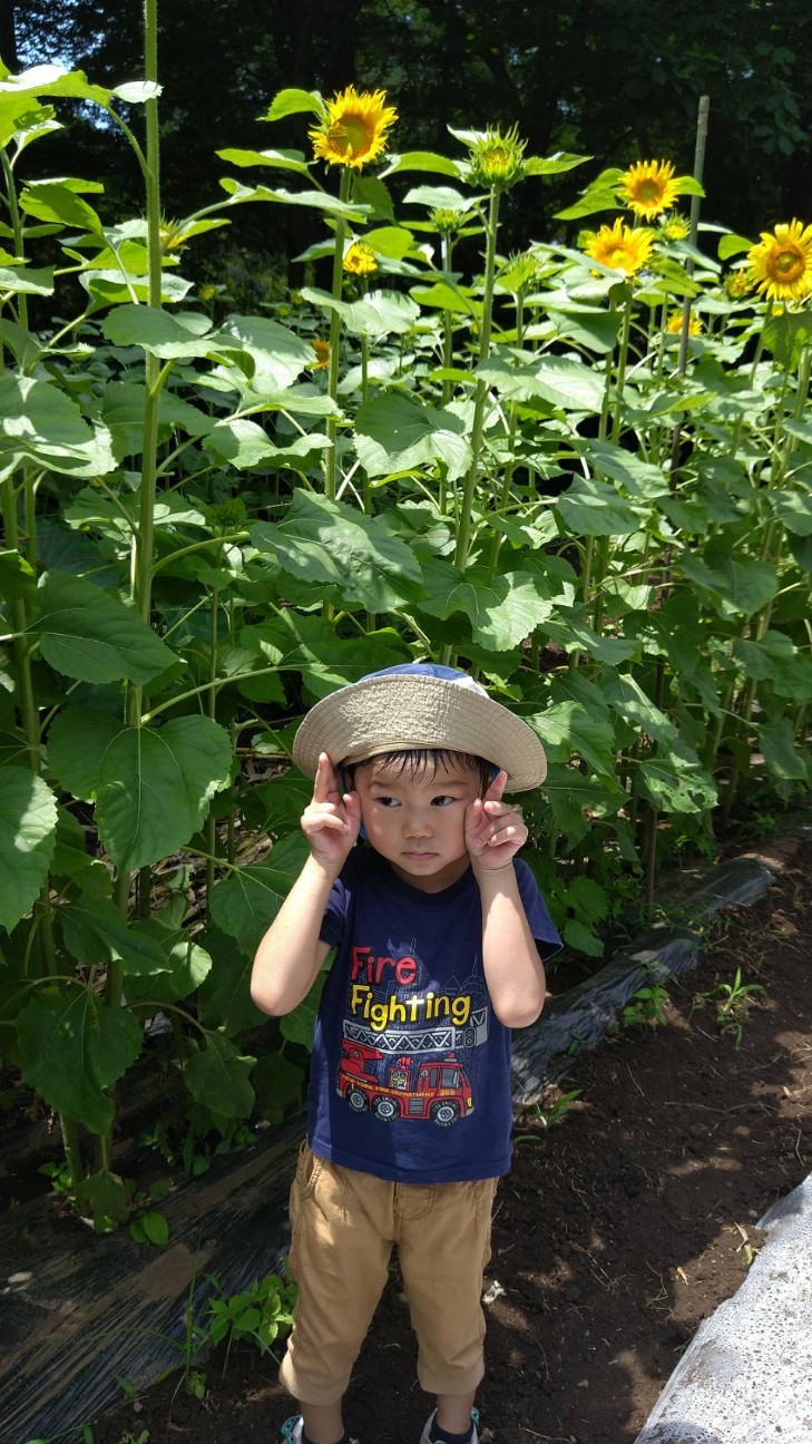 f:id:ikukyuchu:20210730111541j:image f:id:ikukyuchu:20210730111541j:image