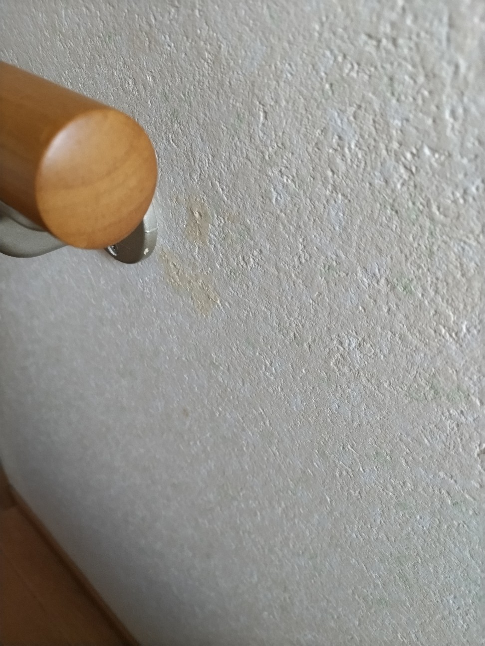 f:id:ikukyuchu:20220825113956j:image