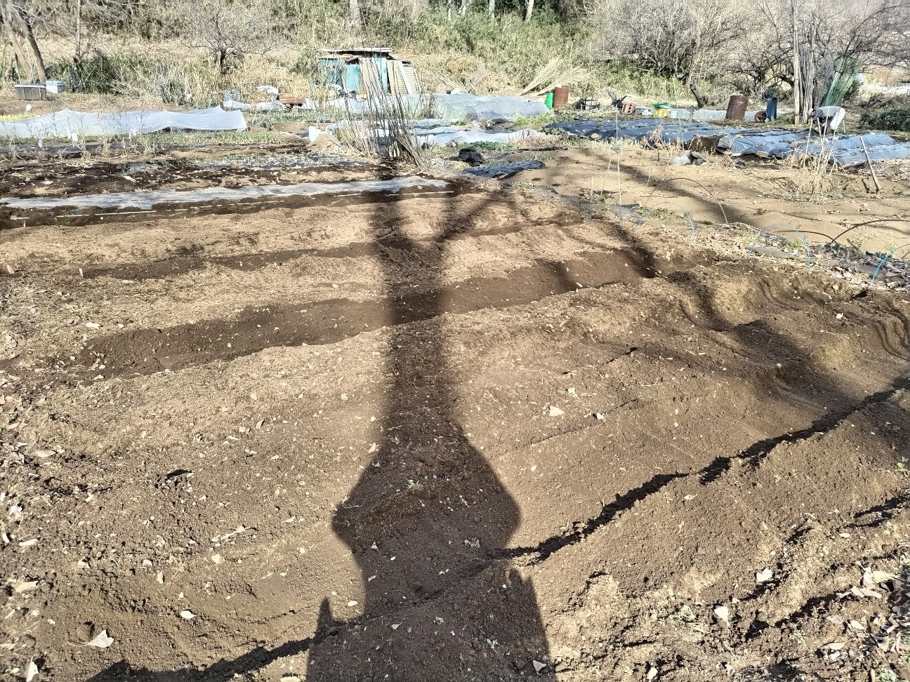 f:id:ikukyuchu:20230206150338j:image