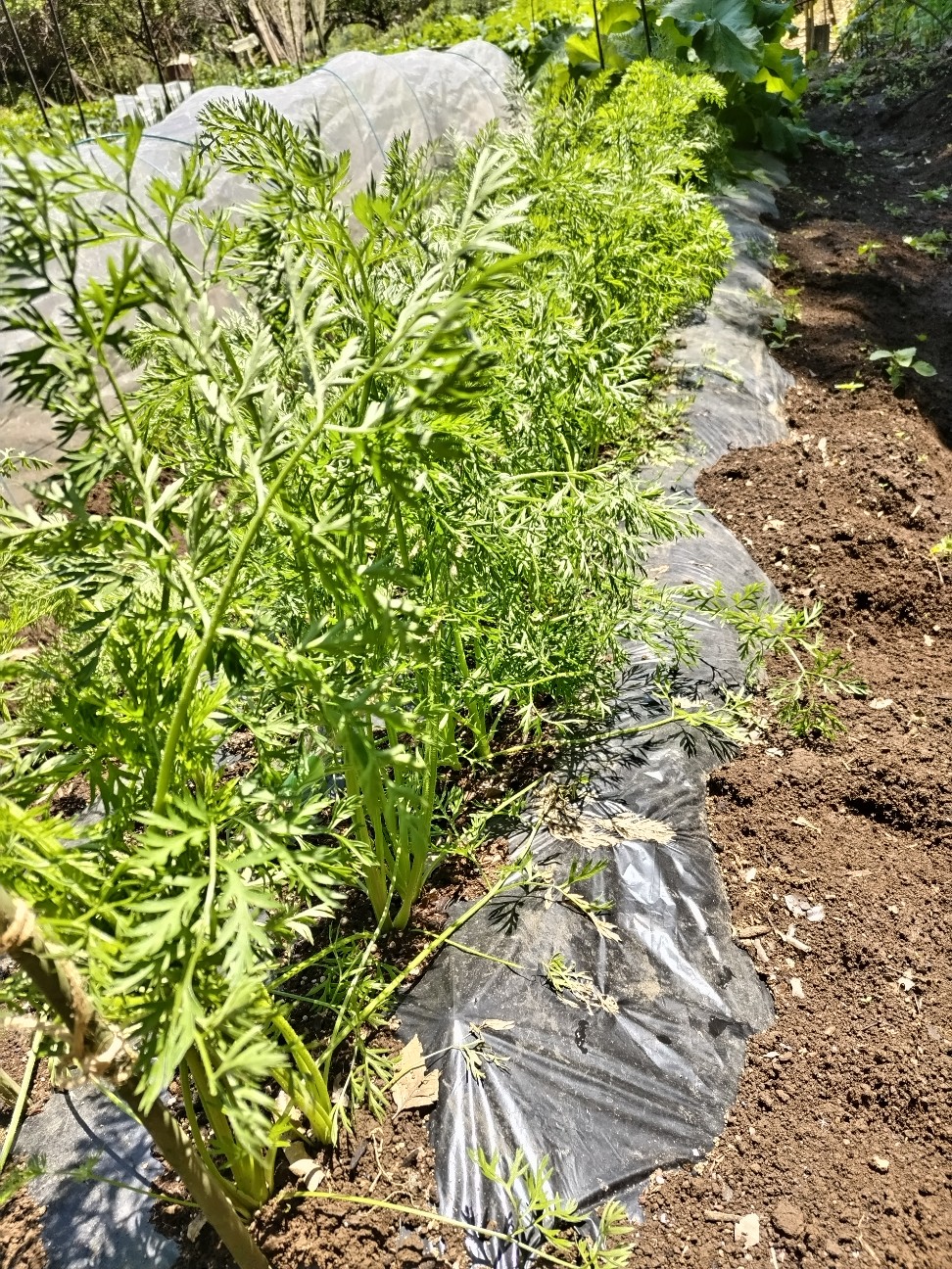 f:id:ikukyuchu:20230516131217j:image f:id:ikukyuchu:20230516131217j:image