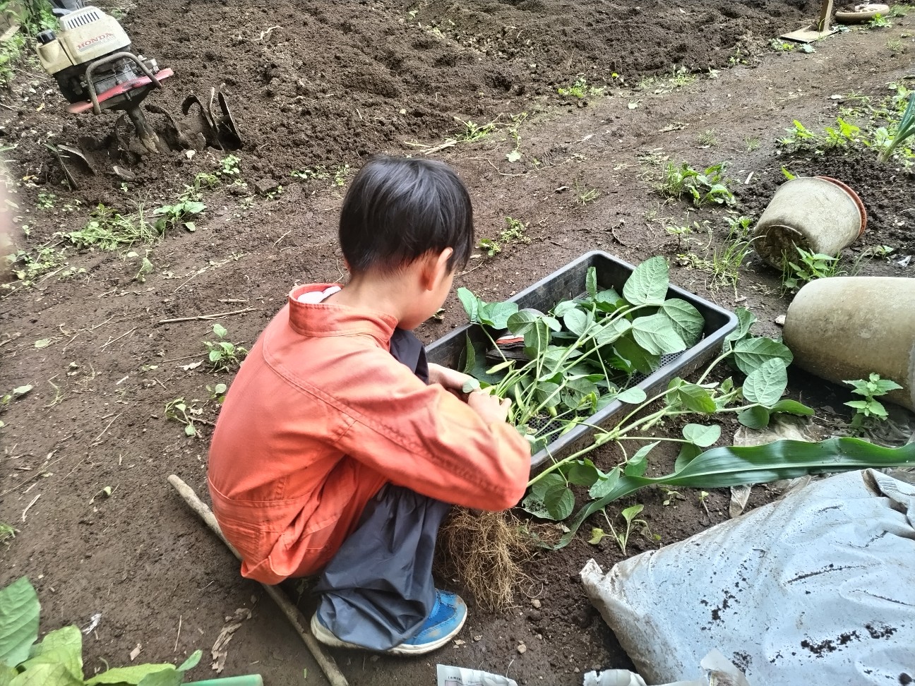 f:id:ikukyuchu:20230619093209j:image