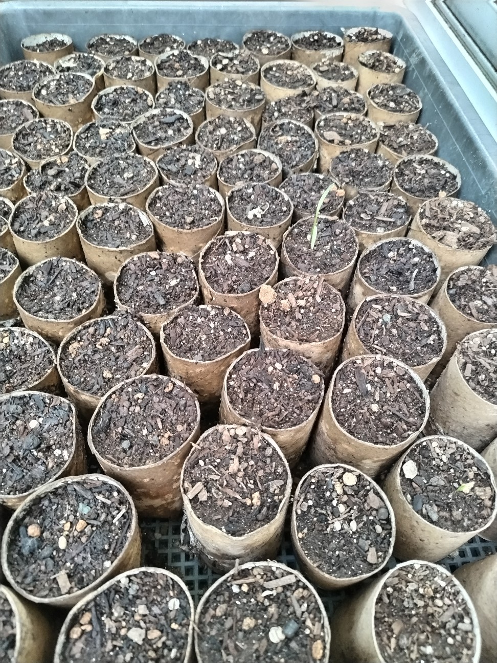 f:id:ikukyuchu:20230822125322j:image