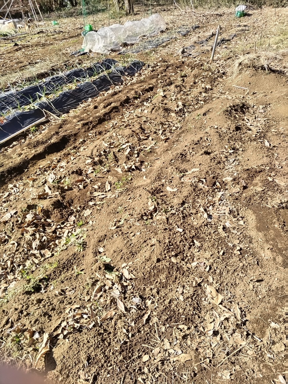 f:id:ikukyuchu:20240214153043j:image