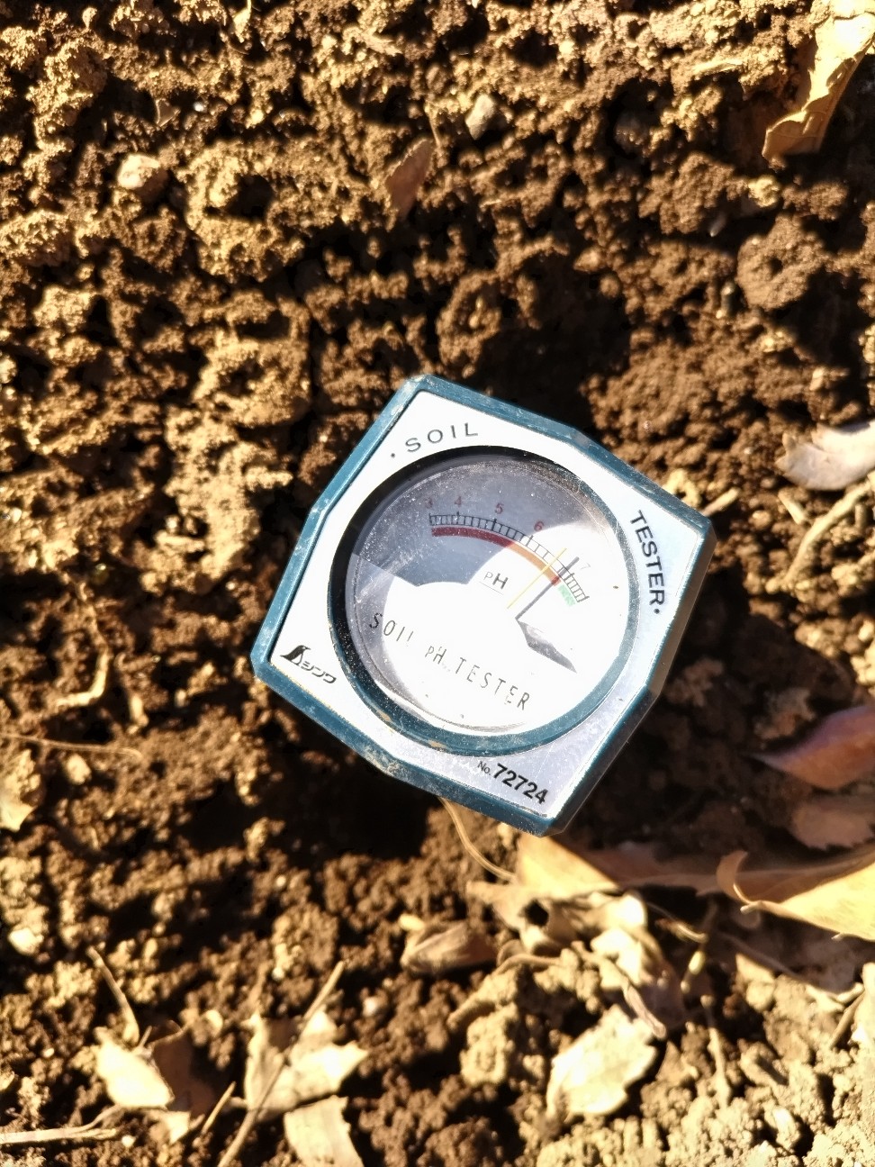 f:id:ikukyuchu:20240214153155j:image