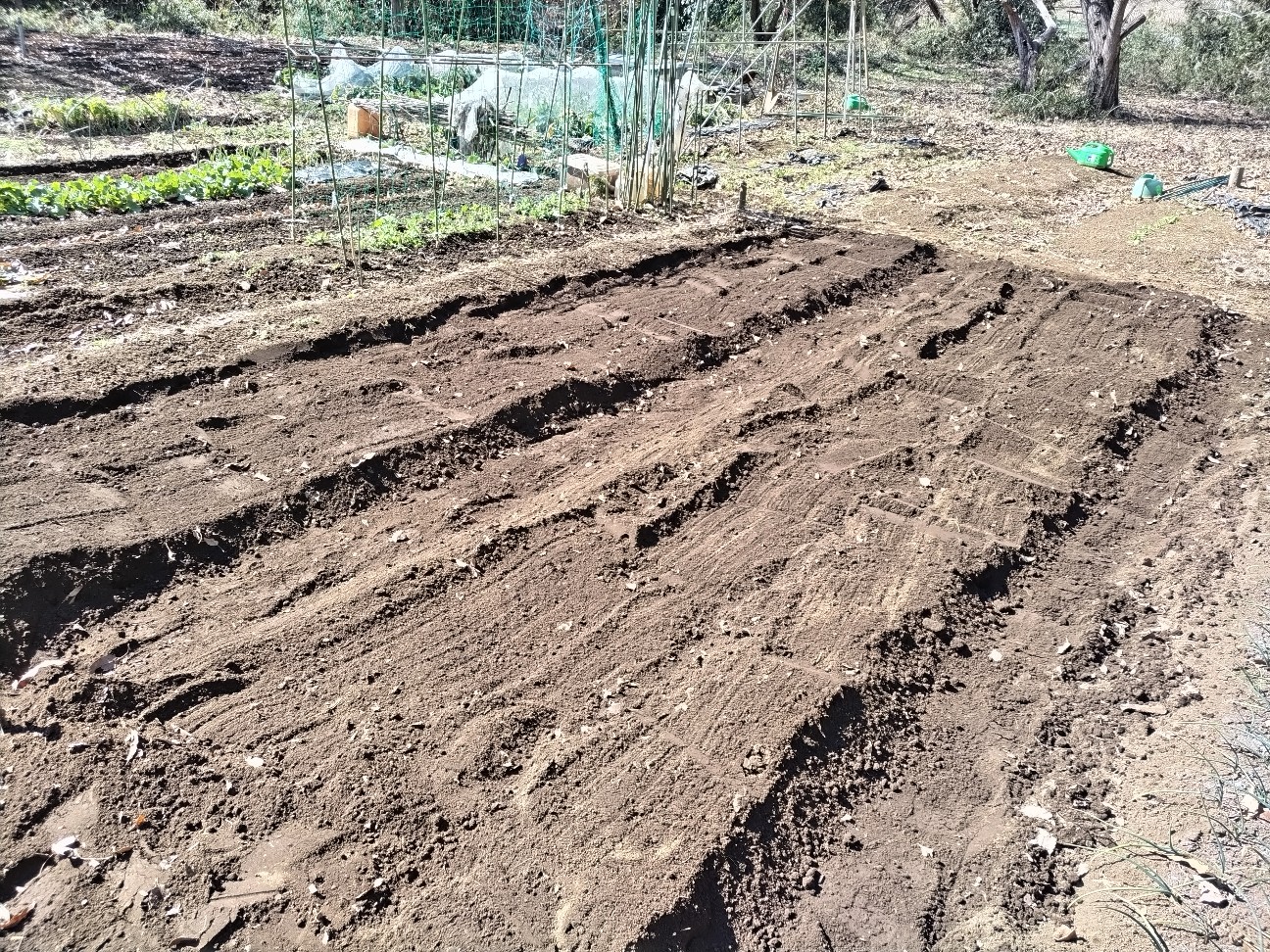 f:id:ikukyuchu:20240214183942j:image