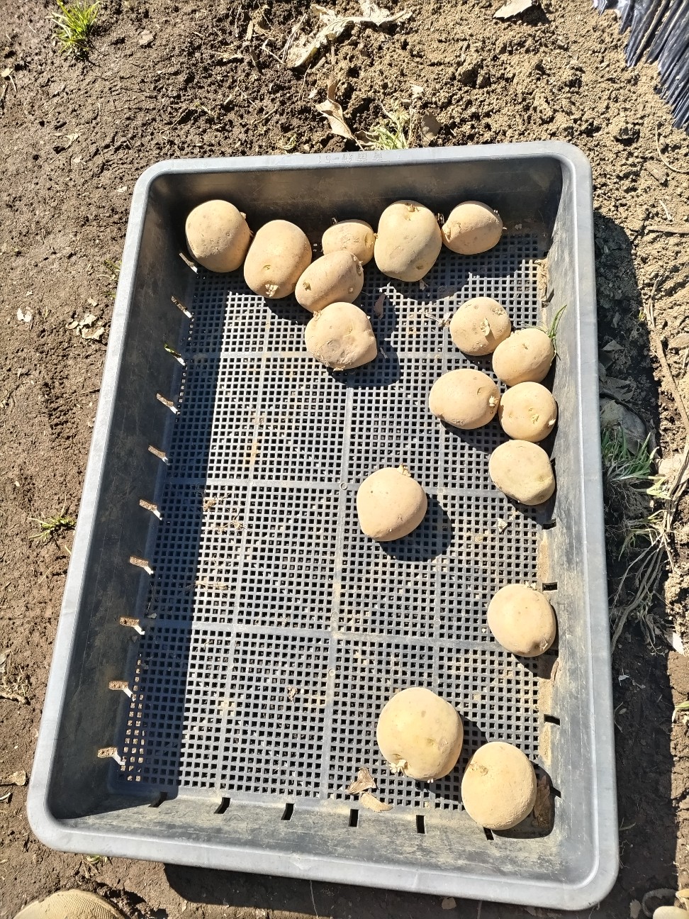 f:id:ikukyuchu:20240310145649j:image