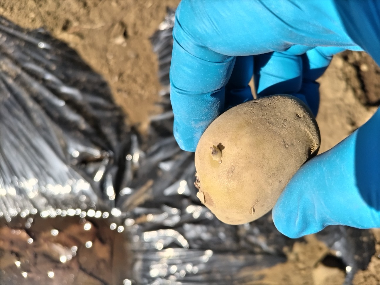 f:id:ikukyuchu:20240310145909j:image