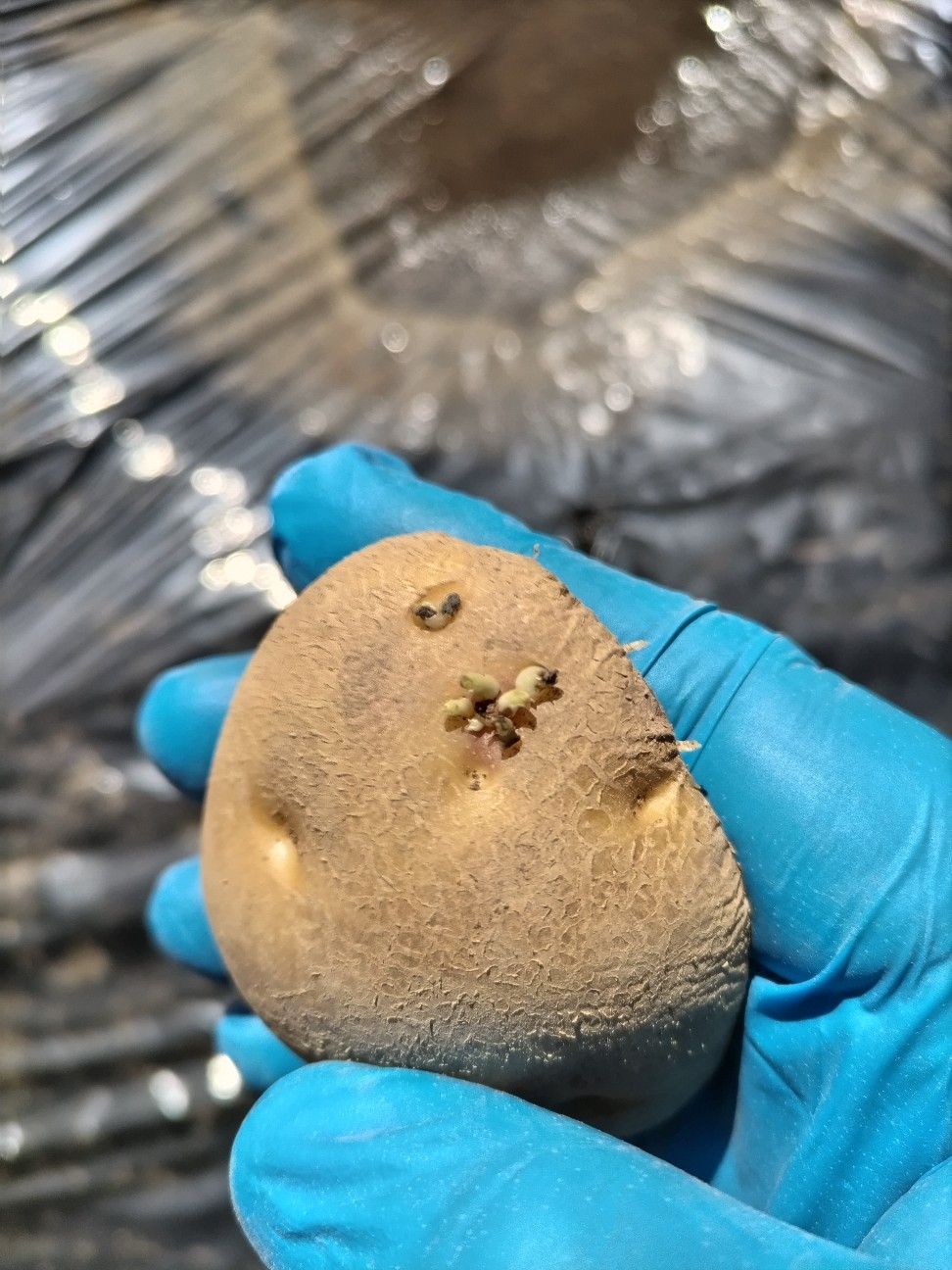 f:id:ikukyuchu:20240310150133j:image