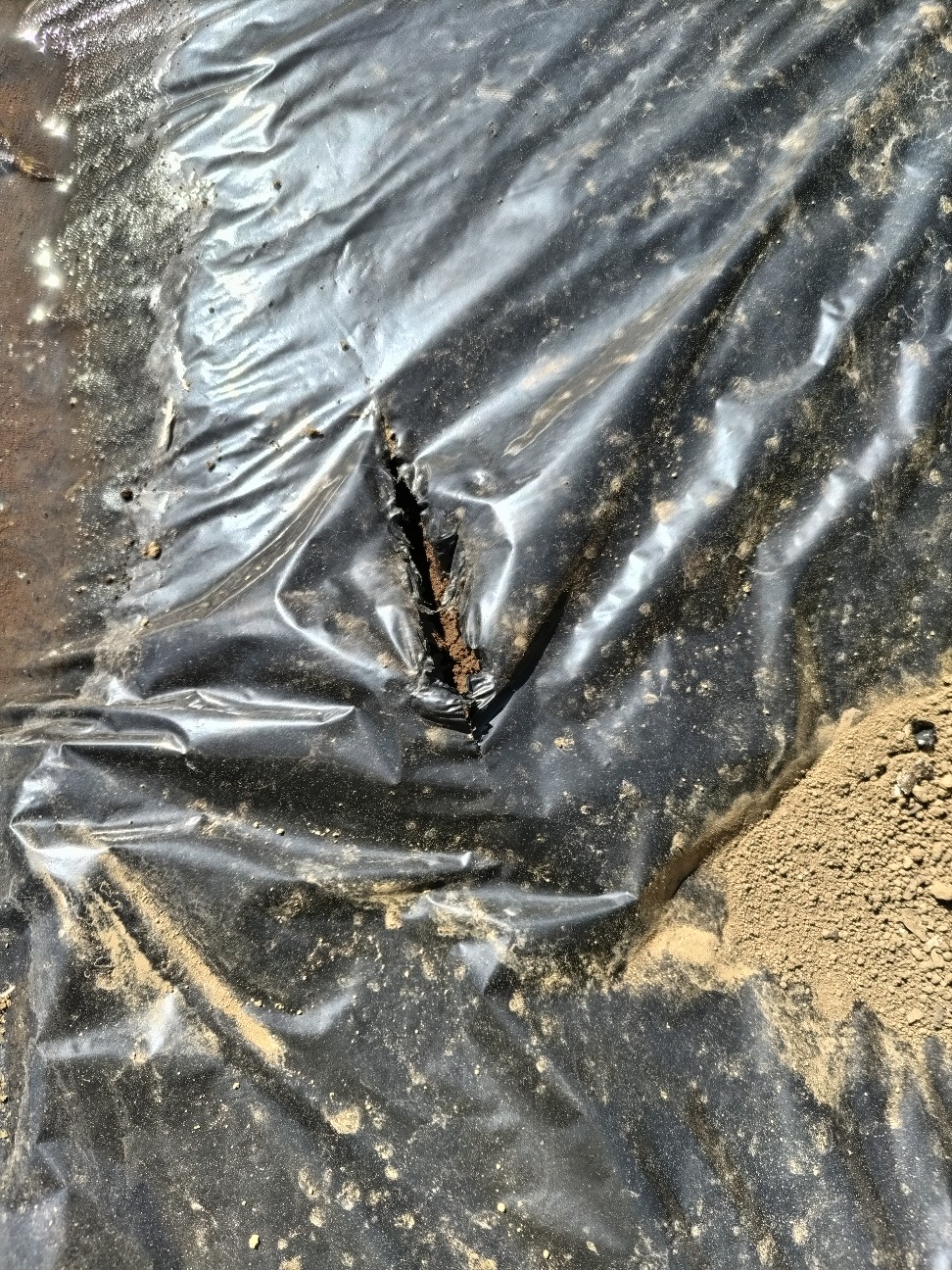 f:id:ikukyuchu:20240310175148j:image