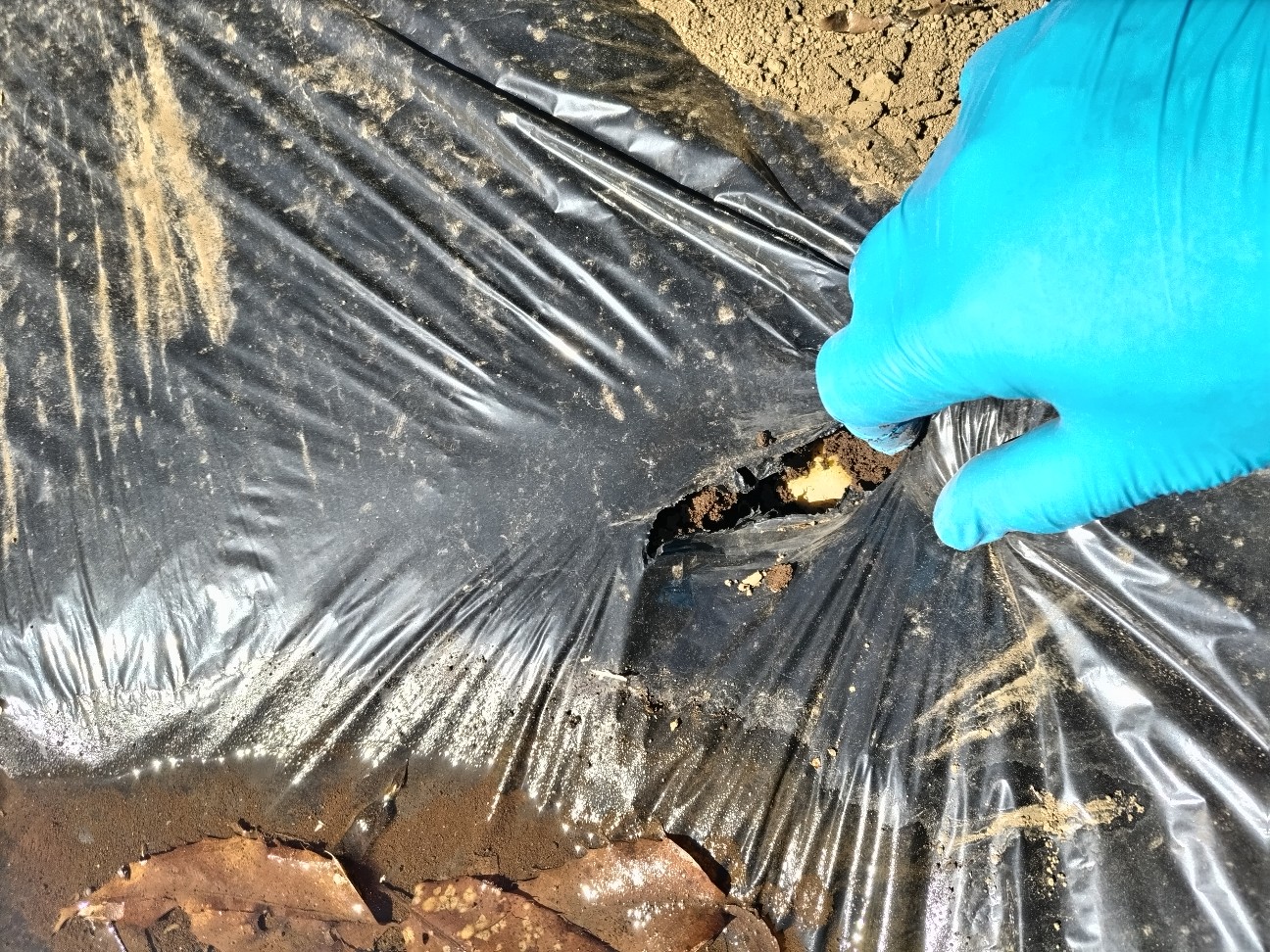 f:id:ikukyuchu:20240310175257j:image