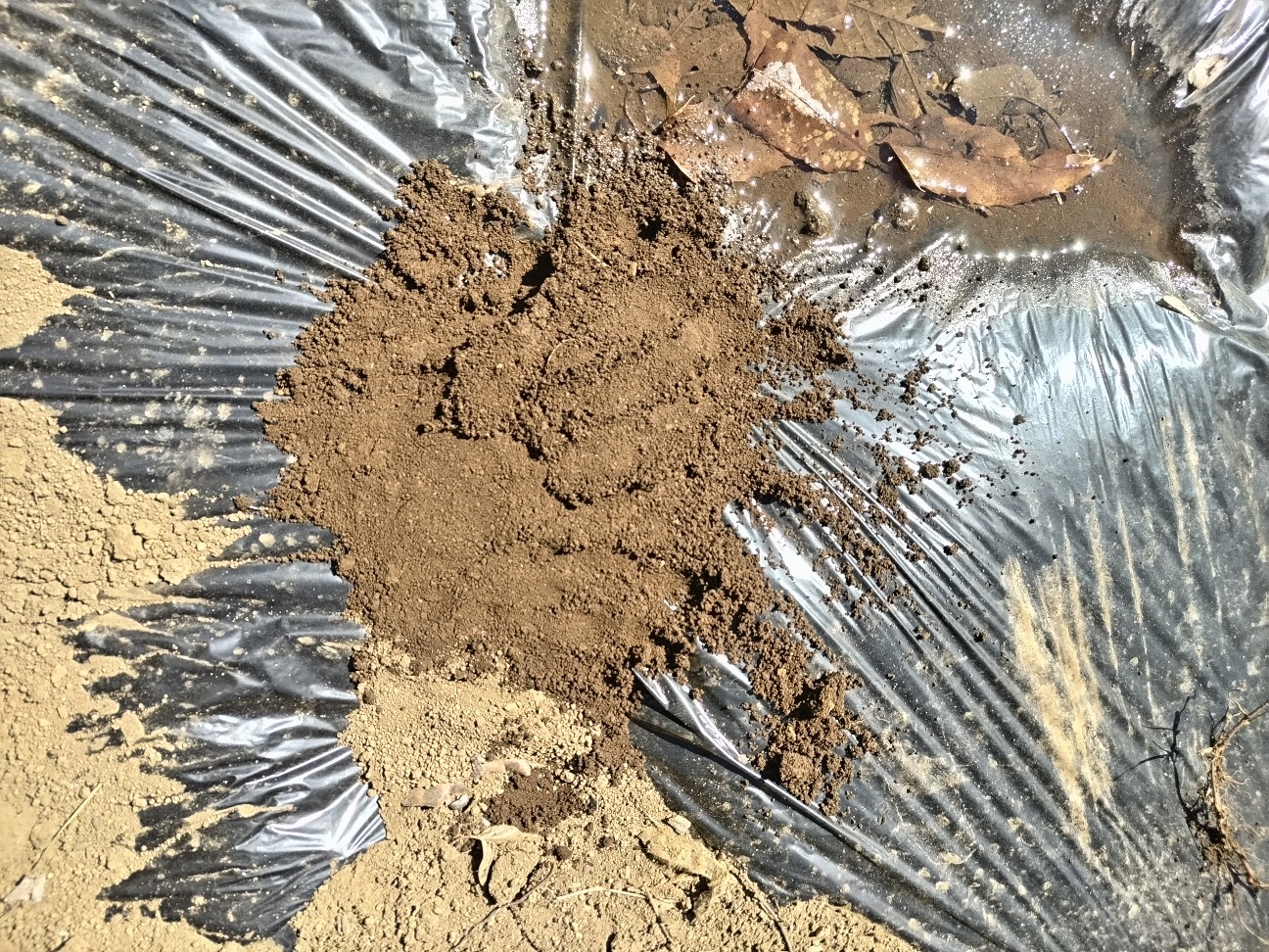 f:id:ikukyuchu:20240310175416j:image