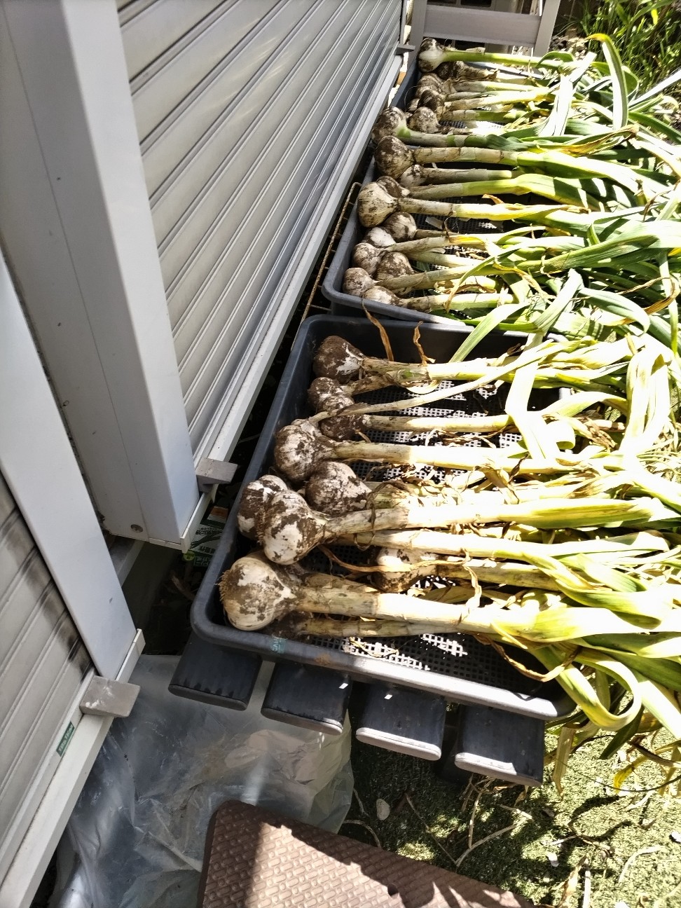 f:id:ikukyuchu:20240520113229j:image