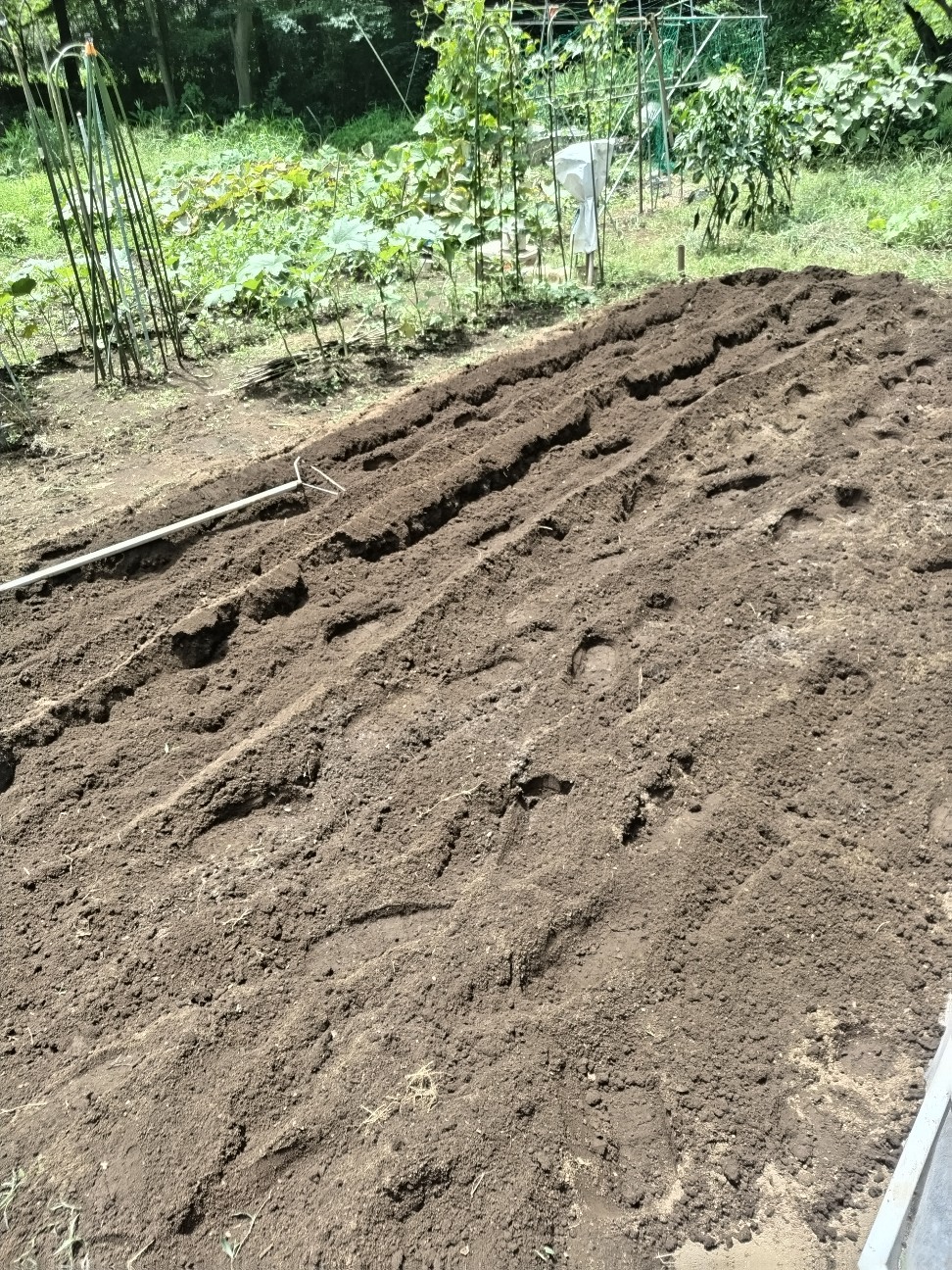 f:id:ikukyuchu:20240720153733j:image