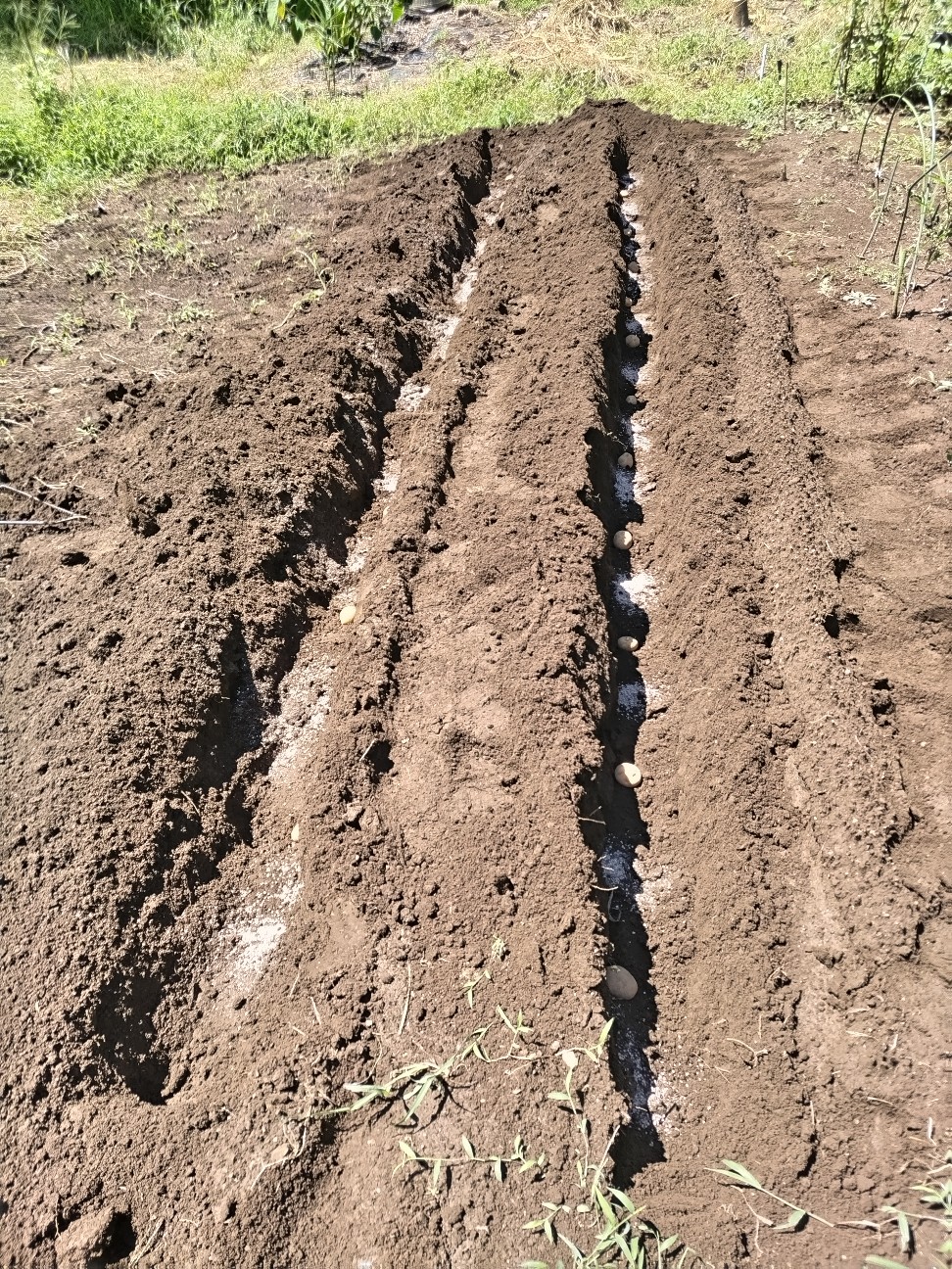 f:id:ikukyuchu:20240820151630j:image f:id:ikukyuchu:20240820151630j:image