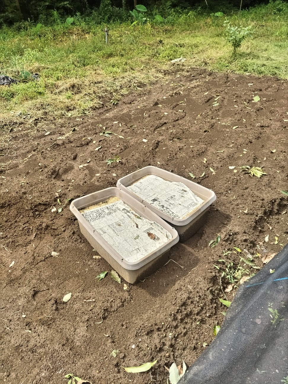 f:id:ikukyuchu:20240920130652j:image