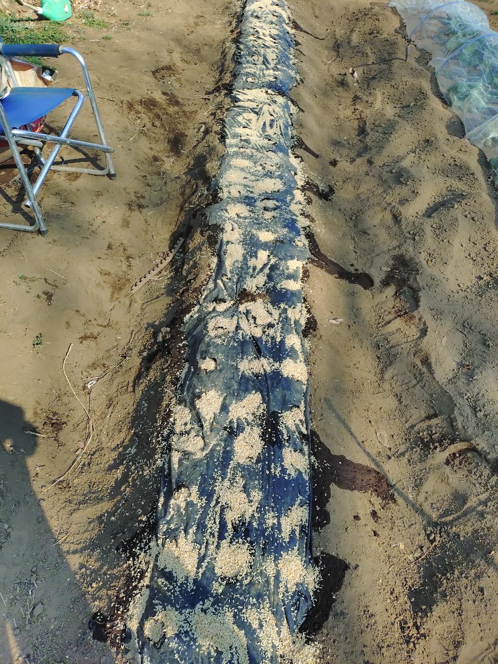 f:id:ikukyuchu:20250302171501j:image