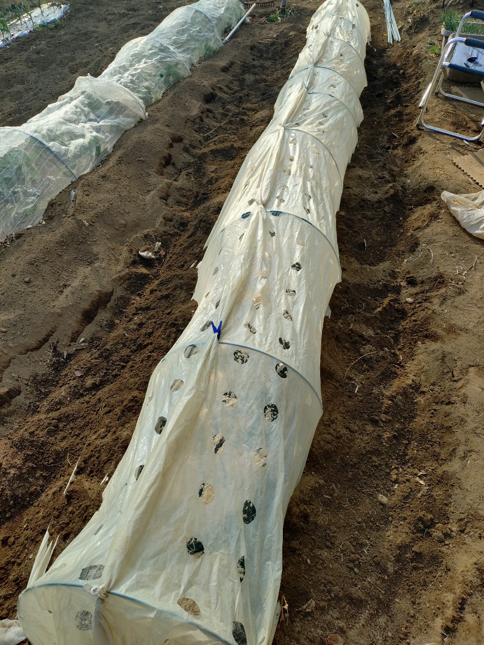 f:id:ikukyuchu:20250302184206j:image