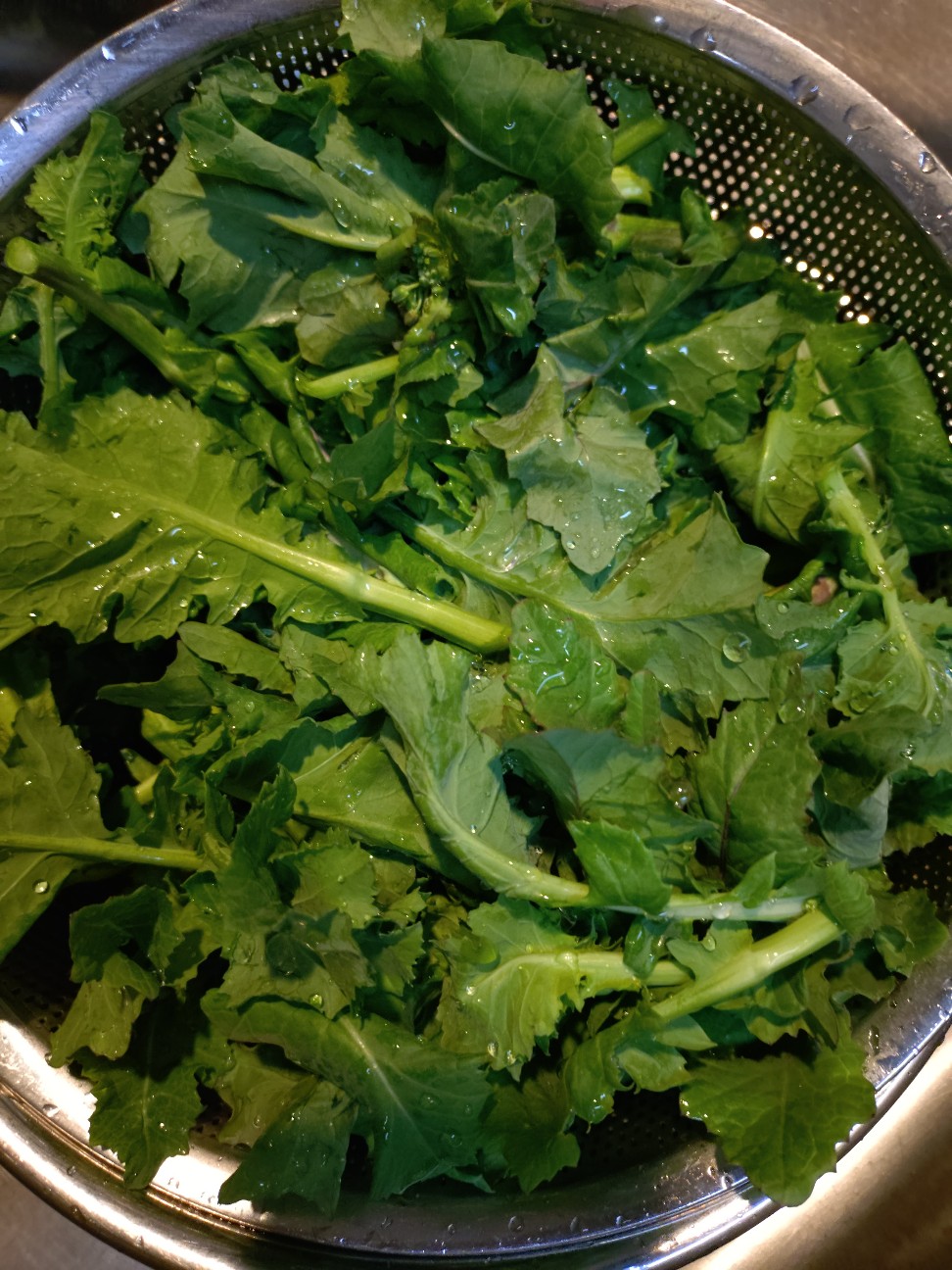 f:id:ikukyuchu:20250331181220j:image f:id:ikukyuchu:20250331181220j:image