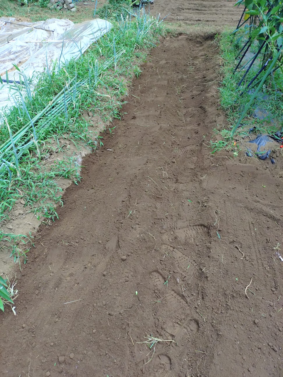 f:id:ikukyuchu:20250829144735j:image