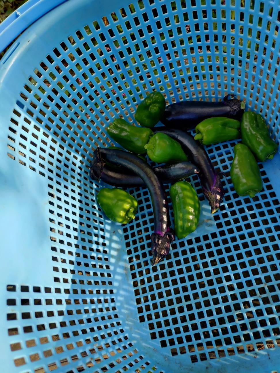 f:id:ikukyuchu:20251024085108j:image f:id:ikukyuchu:20251024085108j:image