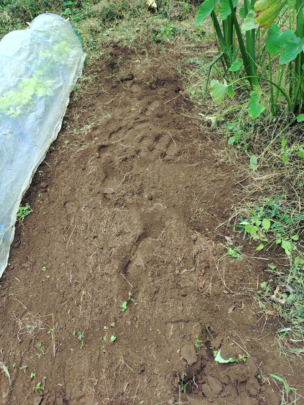 f:id:ikukyuchu:20251031141340j:image f:id:ikukyuchu:20251031141340j:image