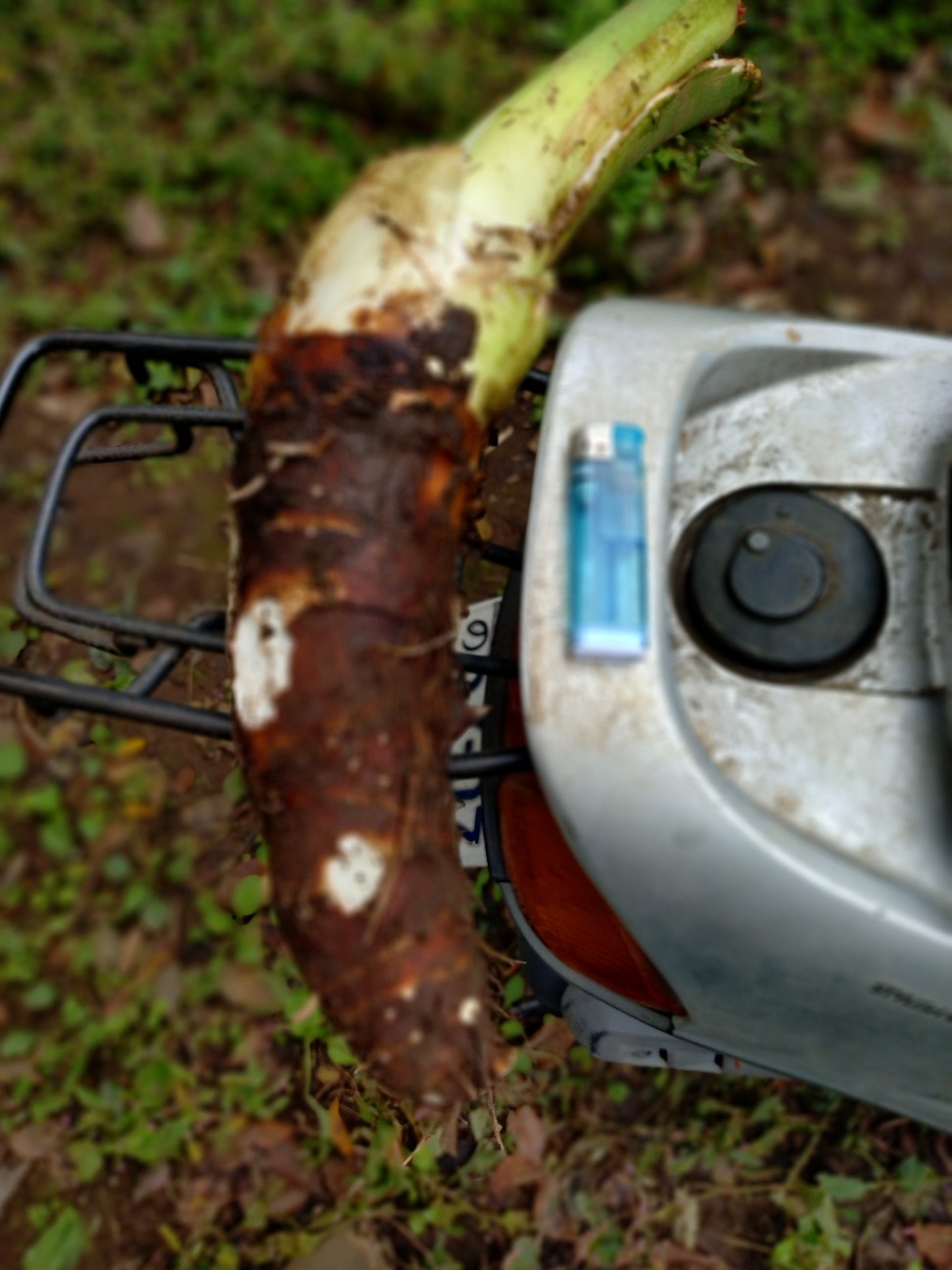 f:id:ikukyuchu:20251102161939j:image f:id:ikukyuchu:20251102161939j:image