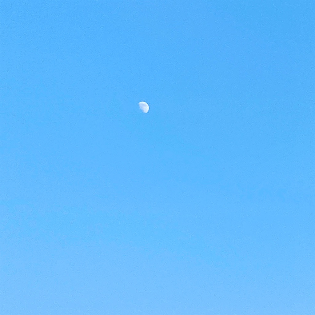 f:id:ikumi6747:20210720000153j:plain