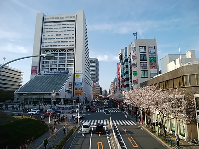 f:id:ikunishiyan:20180327060316j:plain f:id:ikunishiyan:20180327060316j:plain