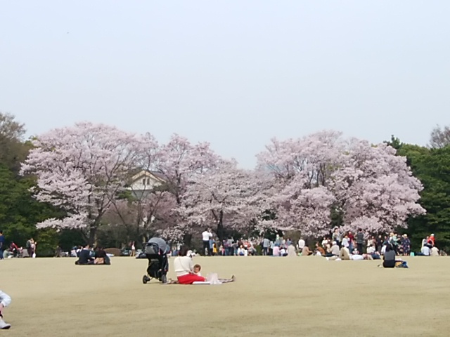 f:id:ikunishiyan:20180327160349j:plain f:id:ikunishiyan:20180327160349j:plain