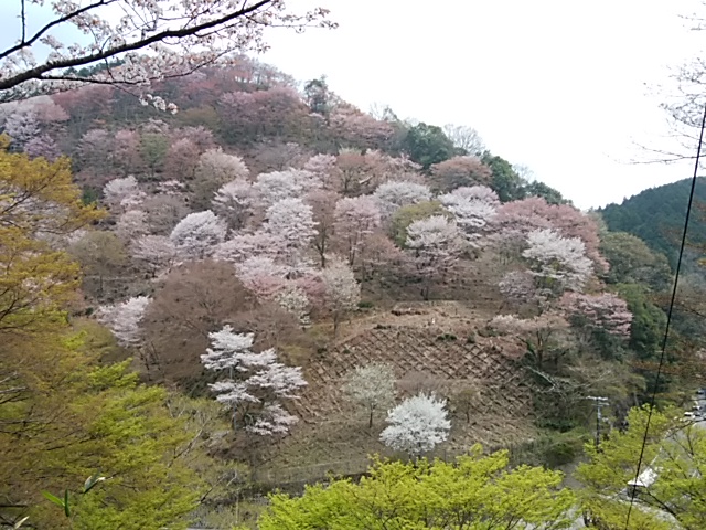 f:id:ikunishiyan:20180404191538j:plain f:id:ikunishiyan:20180404191538j:plain