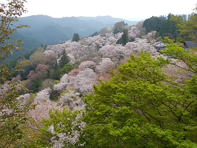 f:id:ikunishiyan:20180404191629j:plain f:id:ikunishiyan:20180404191629j:plain