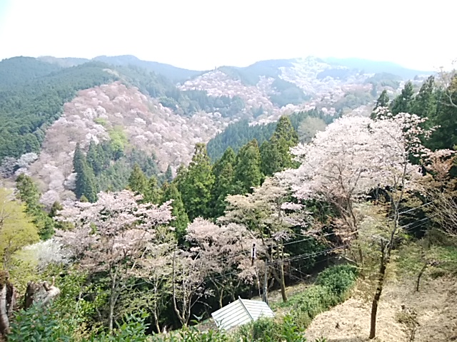 f:id:ikunishiyan:20180404192300j:plain f:id:ikunishiyan:20180404192300j:plain