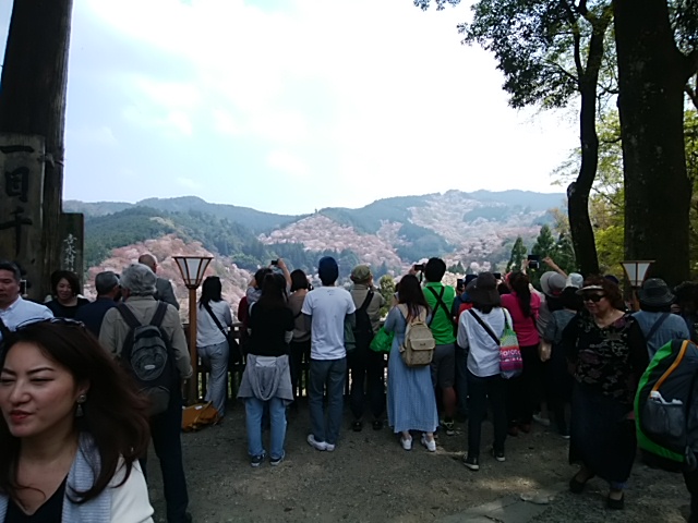 f:id:ikunishiyan:20180404192315j:plain f:id:ikunishiyan:20180404192315j:plain