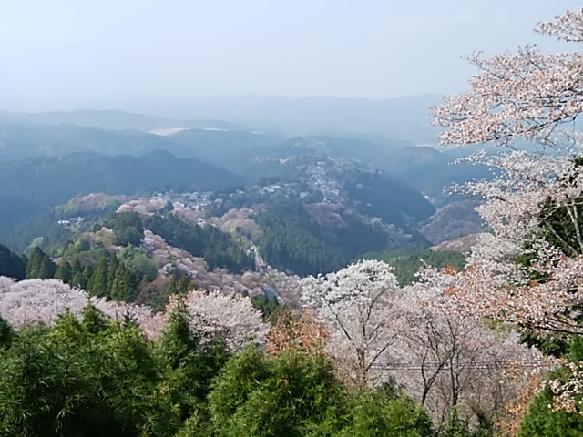 f:id:ikunishiyan:20180404192619j:plain f:id:ikunishiyan:20180404192619j:plain