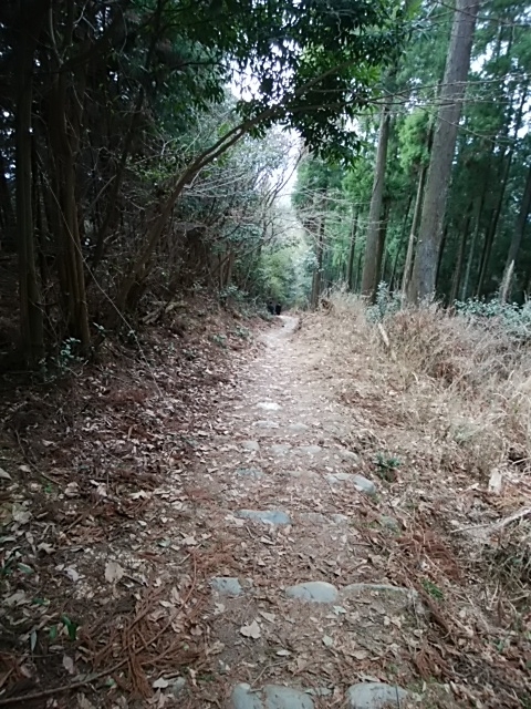 f:id:ikunishiyan:20180404192714j:plain f:id:ikunishiyan:20180404192714j:plain