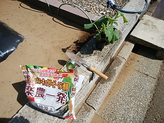 f:id:ikunishiyan:20180410171243j:plain f:id:ikunishiyan:20180410171243j:plain