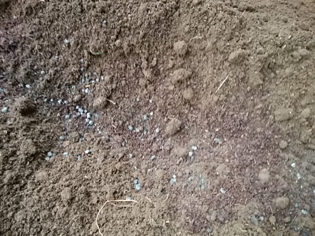 f:id:ikunishiyan:20180417200850j:plain f:id:ikunishiyan:20180417200850j:plain