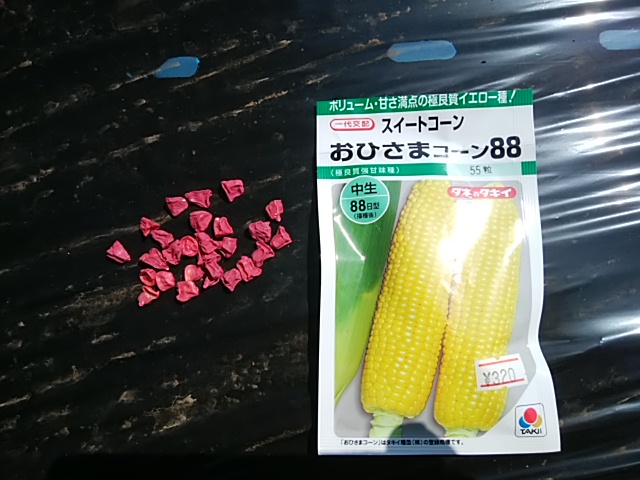 f:id:ikunishiyan:20180420201406j:plain f:id:ikunishiyan:20180420201406j:plain