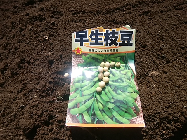f:id:ikunishiyan:20180426210931j:plain f:id:ikunishiyan:20180426210931j:plain
