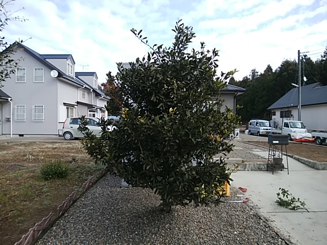 f:id:ikunishiyan:20180428100205j:plain f:id:ikunishiyan:20180428100205j:plain