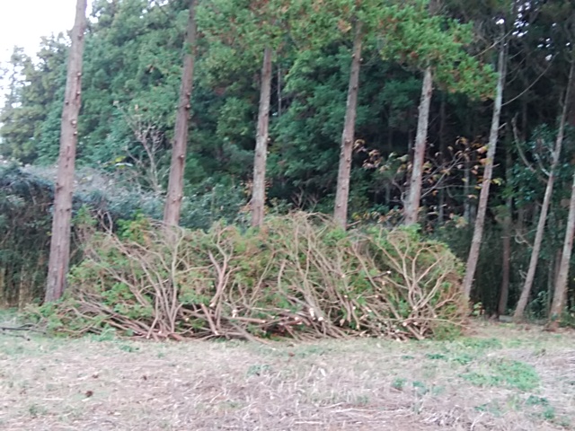 f:id:ikunishiyan:20180607204929j:plain f:id:ikunishiyan:20180607204929j:plain