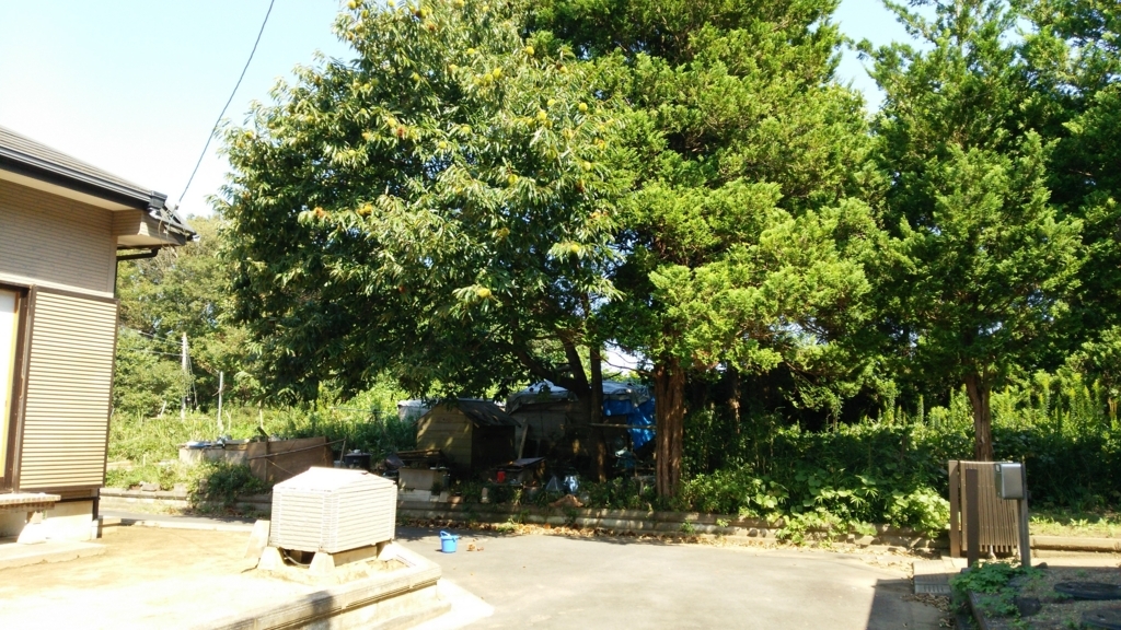 f:id:ikunishiyan:20180607205117j:plain f:id:ikunishiyan:20180607205117j:plain