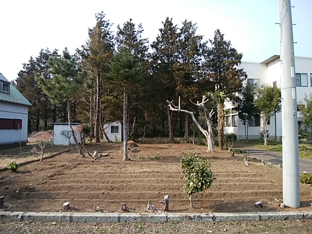 f:id:ikunishiyan:20180609202843j:plain f:id:ikunishiyan:20180609202843j:plain
