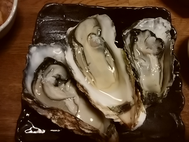 f:id:ikunishiyan:20190113092956j:plain f:id:ikunishiyan:20190113092956j:plain