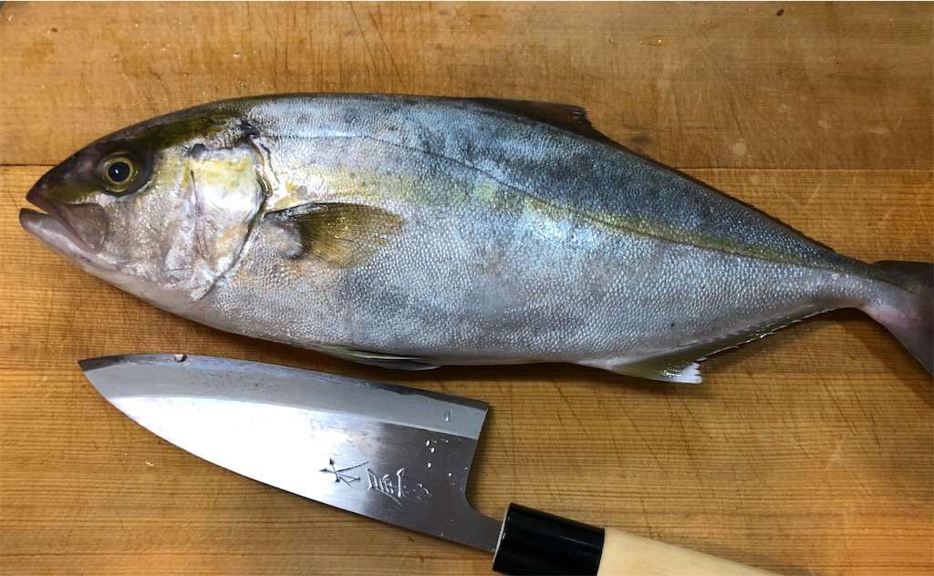 カンパチの姿作りを新しく買った包丁で作ってみた 釣り初心者の船釣り 海釣り記録