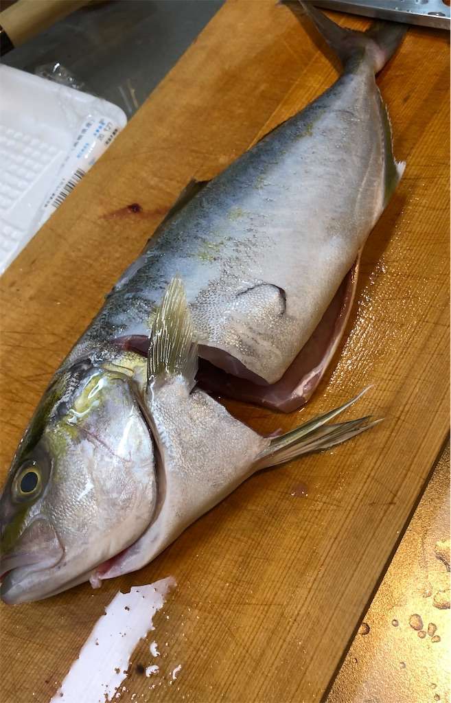 カンパチの姿作りを新しく買った包丁で作ってみた 釣り初心者の船釣り 海釣り記録